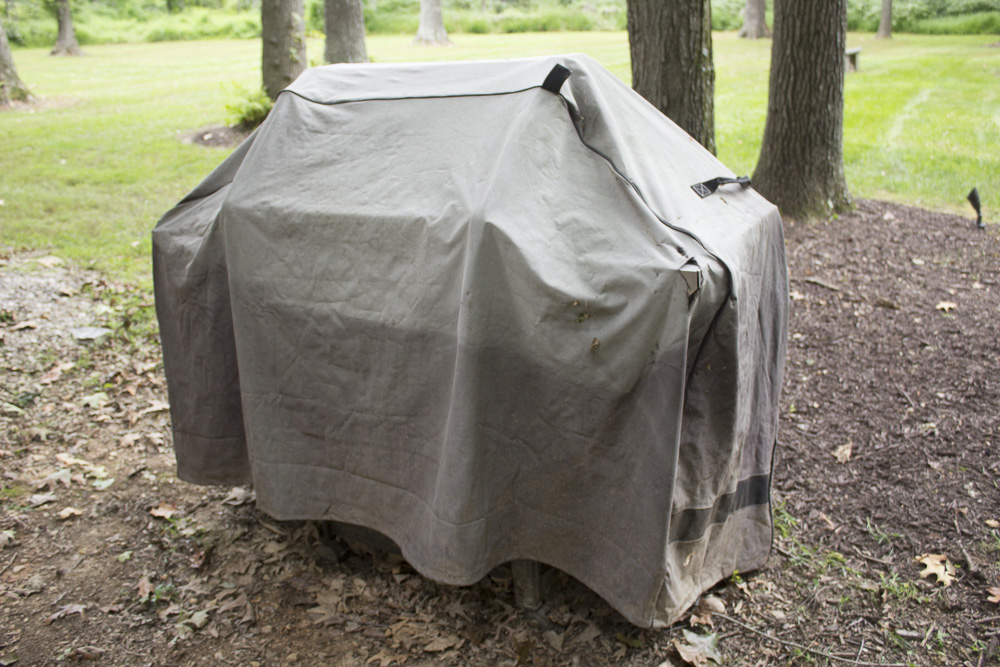 Vermont Castings Outdoor Gas Grill