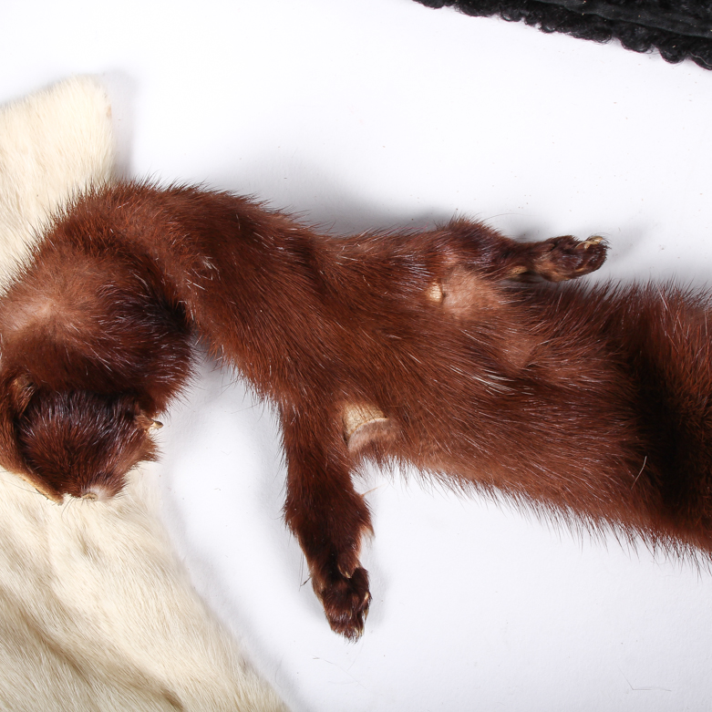Vintage Fur Fashion Accessories