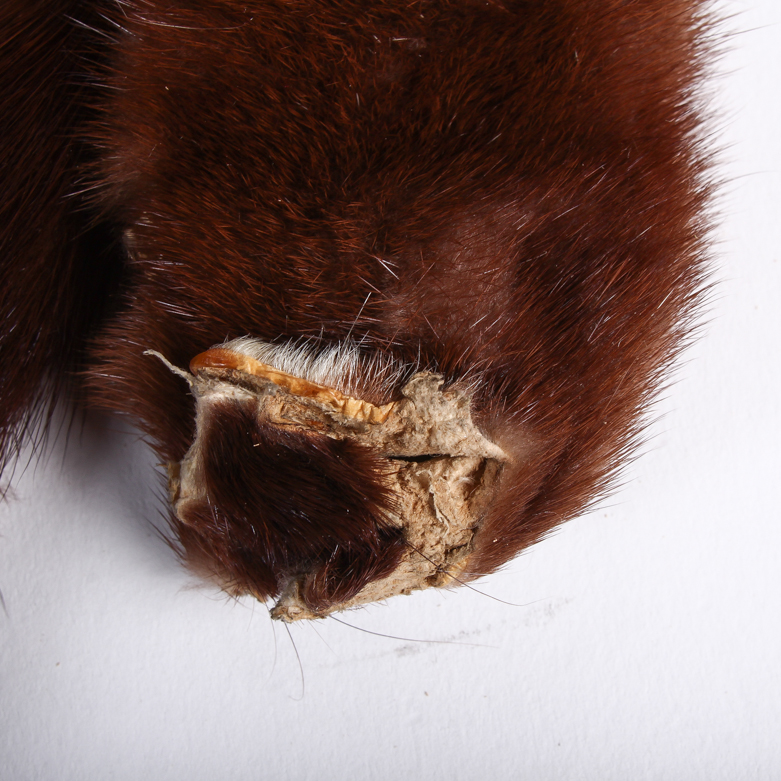 Vintage Fur Fashion Accessories