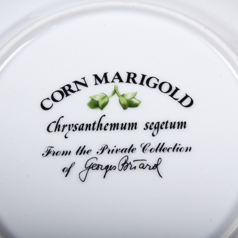 Decorative Georges Briard Porcelain Botanical Plates