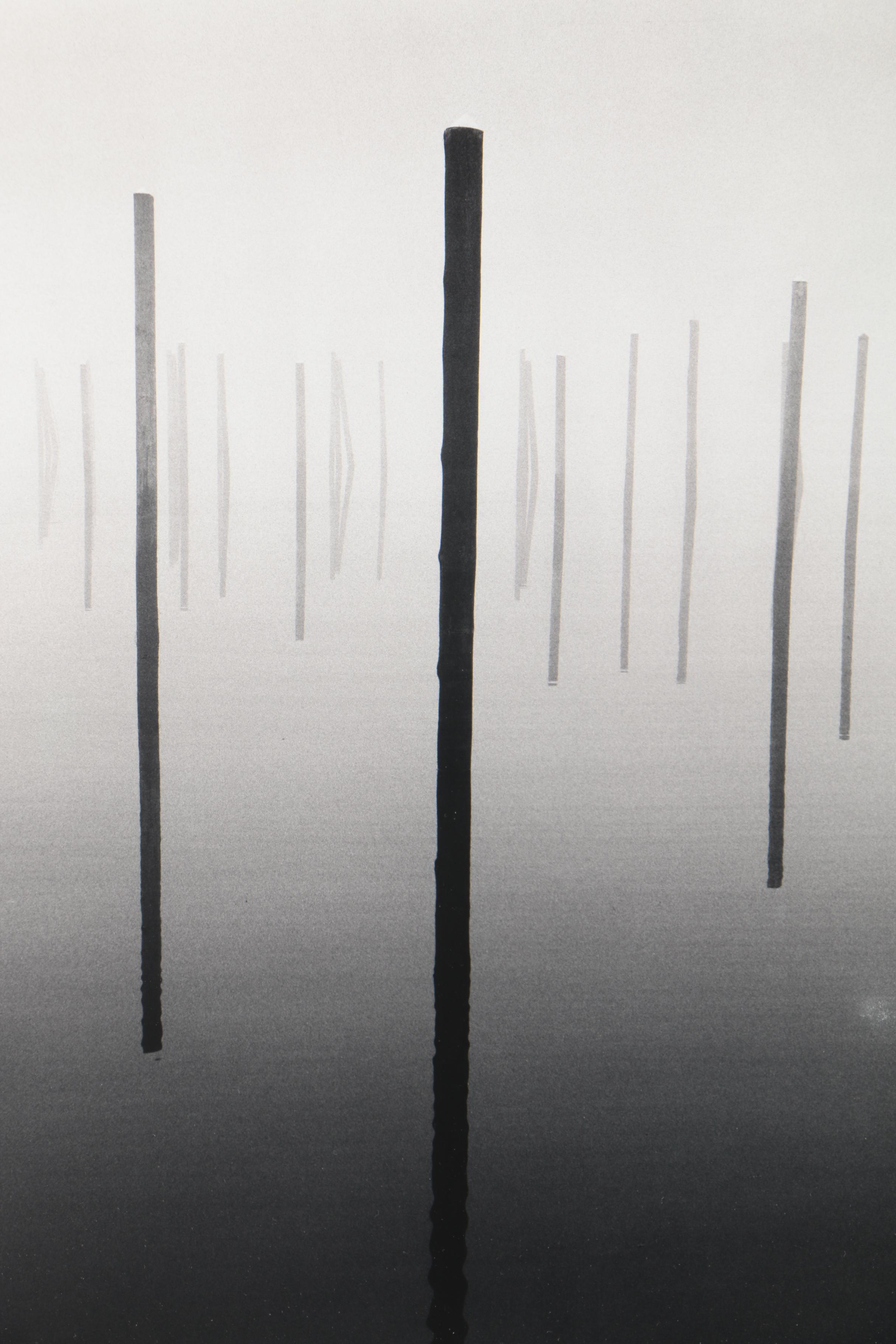 Black and White Photographs "Vertical Dreams #2 and #3"