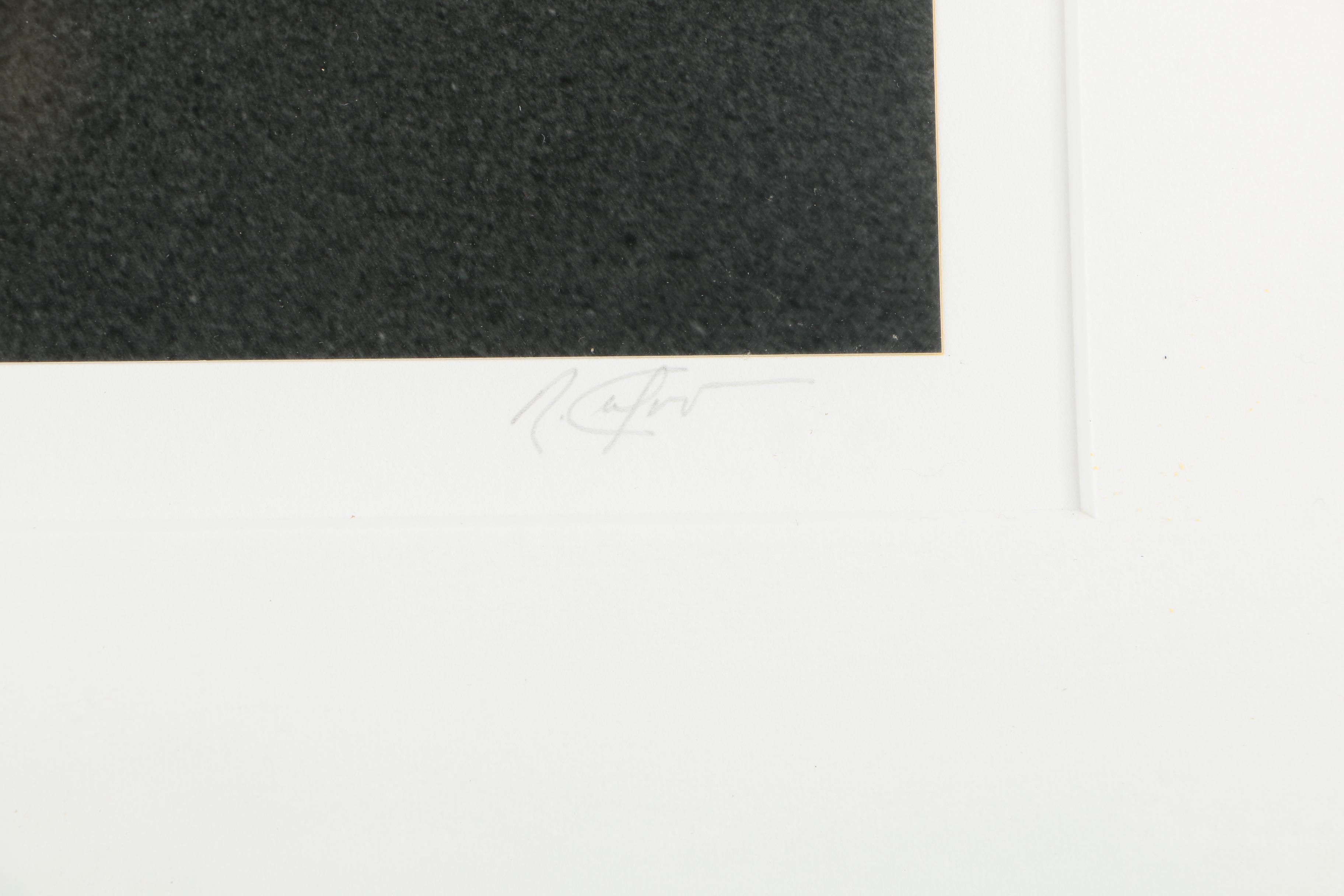 Limited Edition Photograph "Storm Fence"