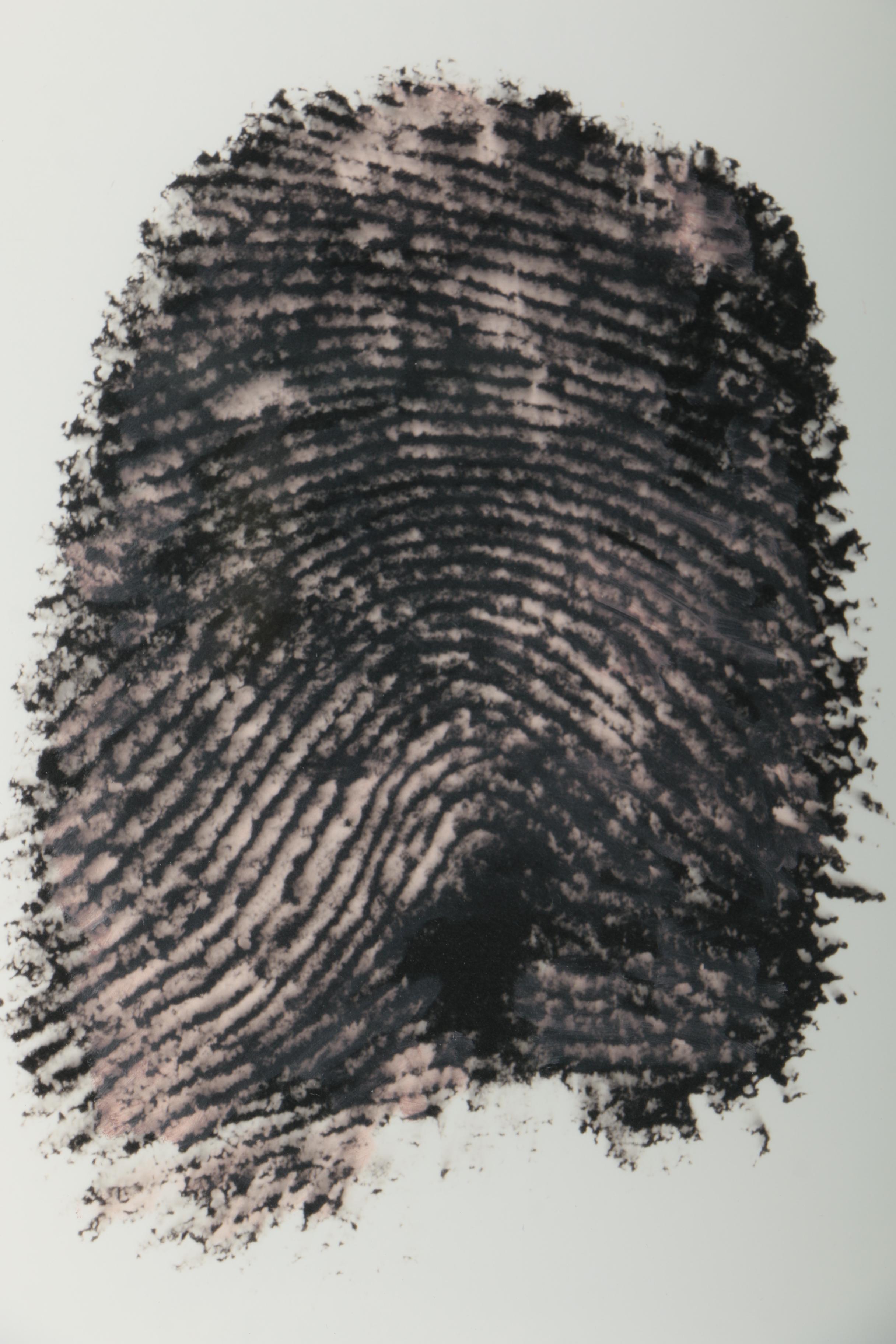 Richard Calvo Digital Photograph Print "Index Finger"