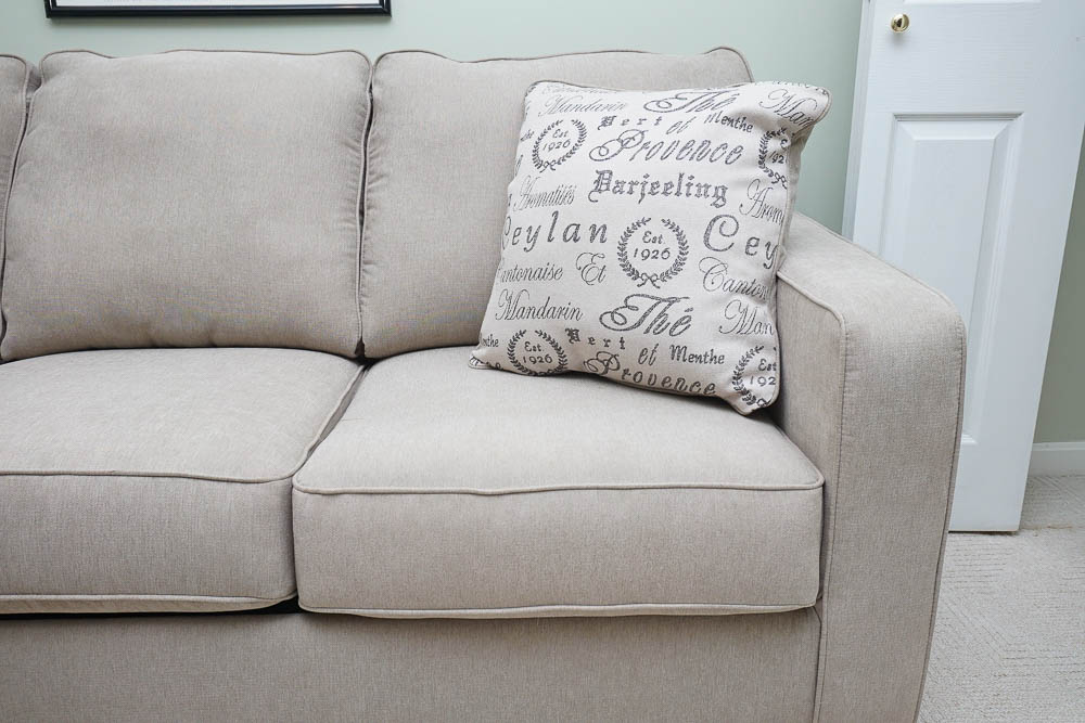 Contemporary Style "Tupelo" Sleeper Sofa by Leggett & Platt