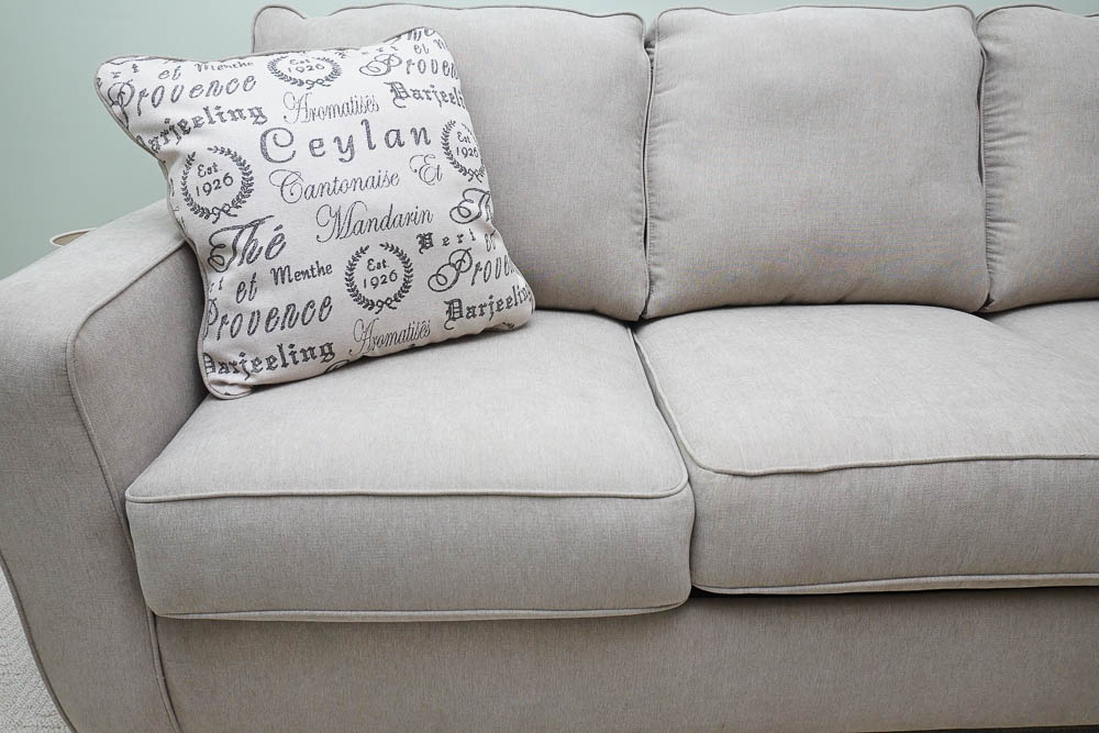 Contemporary Style "Tupelo" Sleeper Sofa by Leggett & Platt