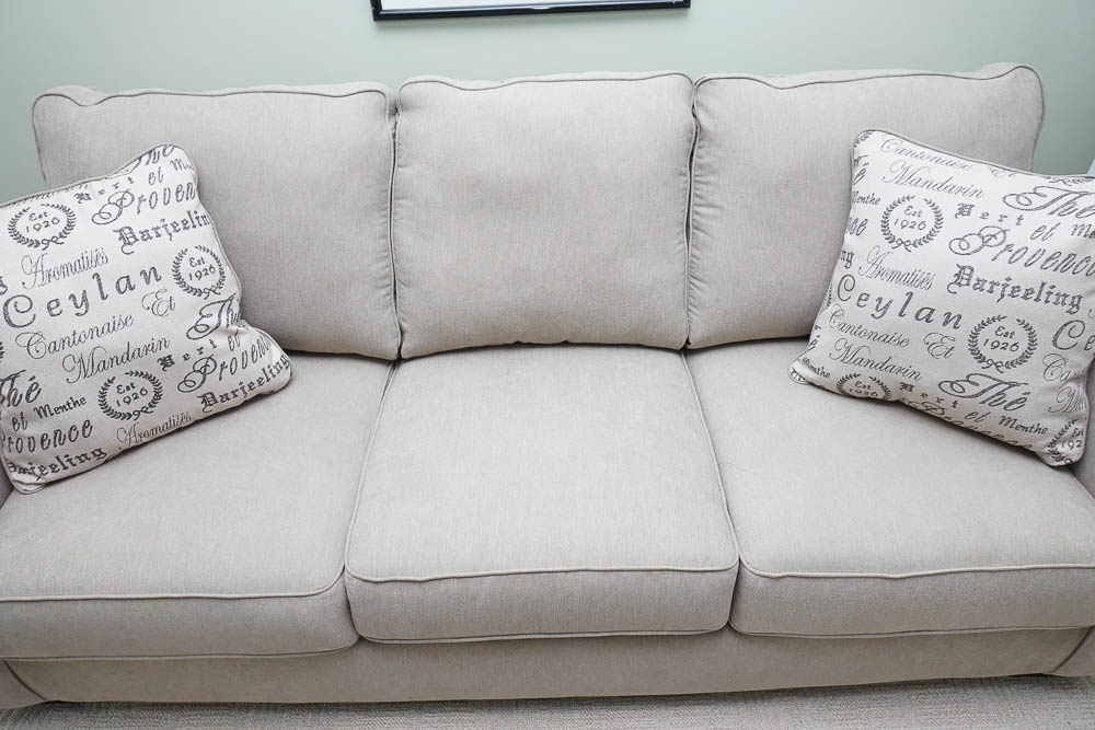 Contemporary Style "Tupelo" Sleeper Sofa by Leggett & Platt