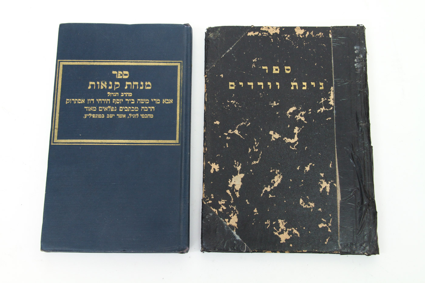 Collection of Judaica Books