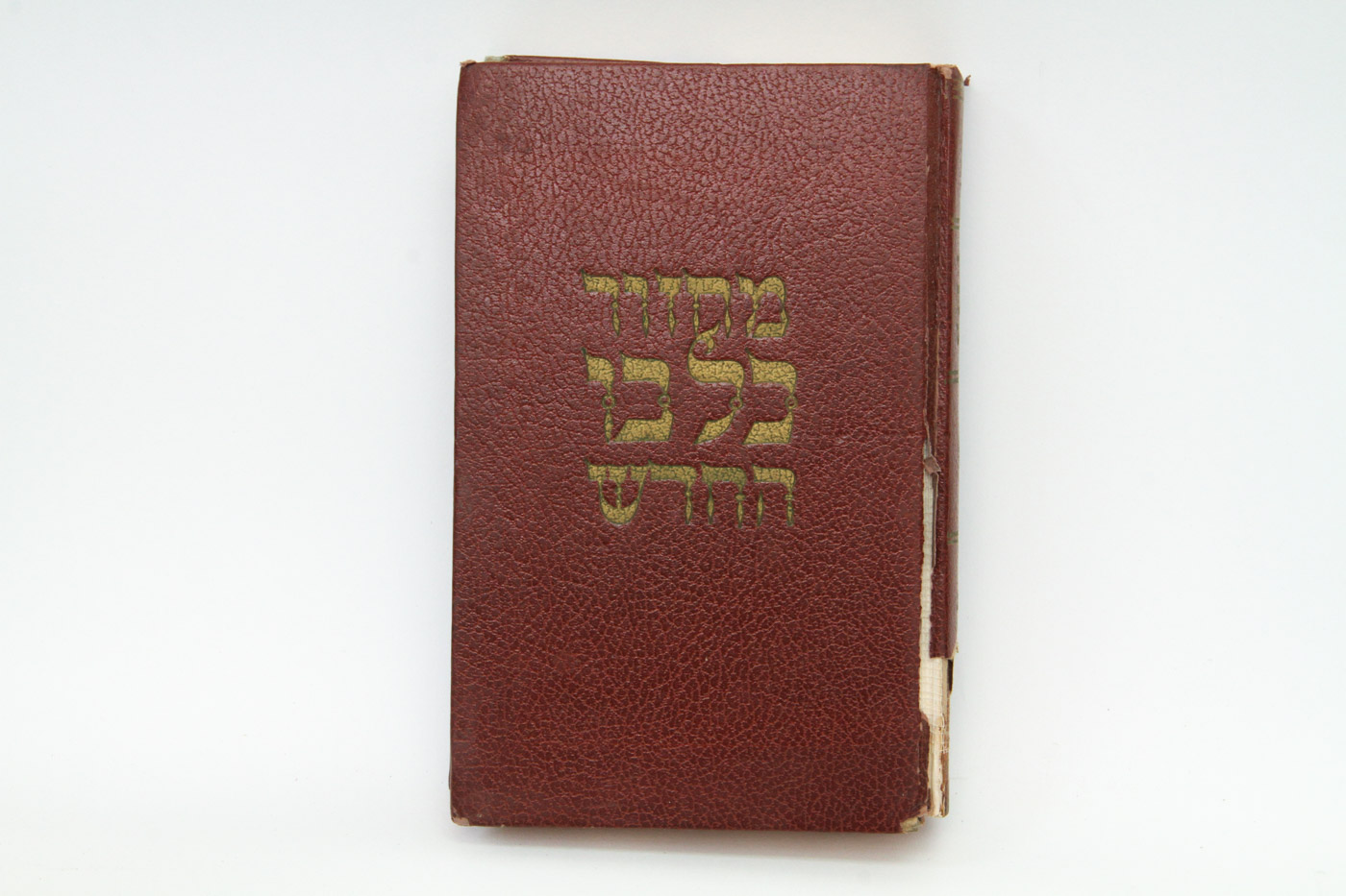 Collection of Judaica Books