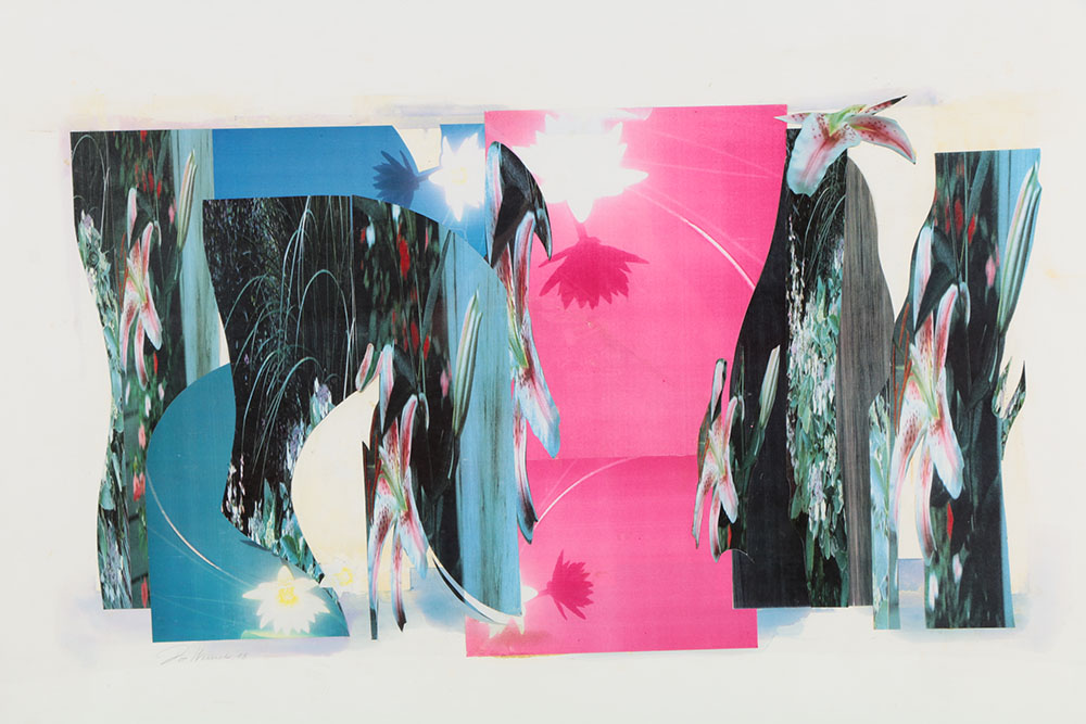 Don Werner Digital Photo Collage of Lilies