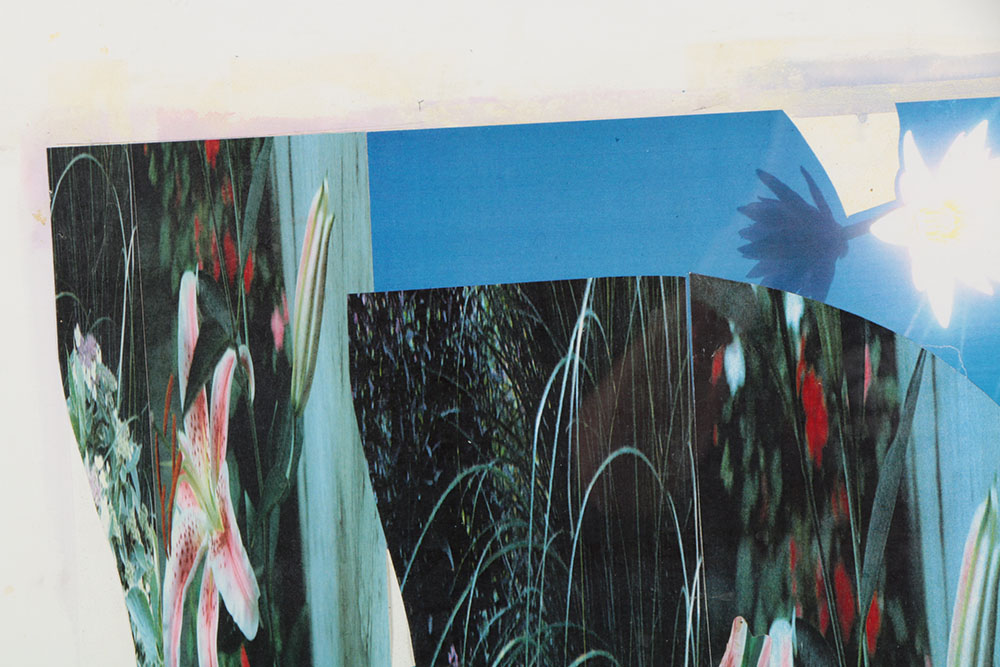 Don Werner Digital Photo Collage of Lilies