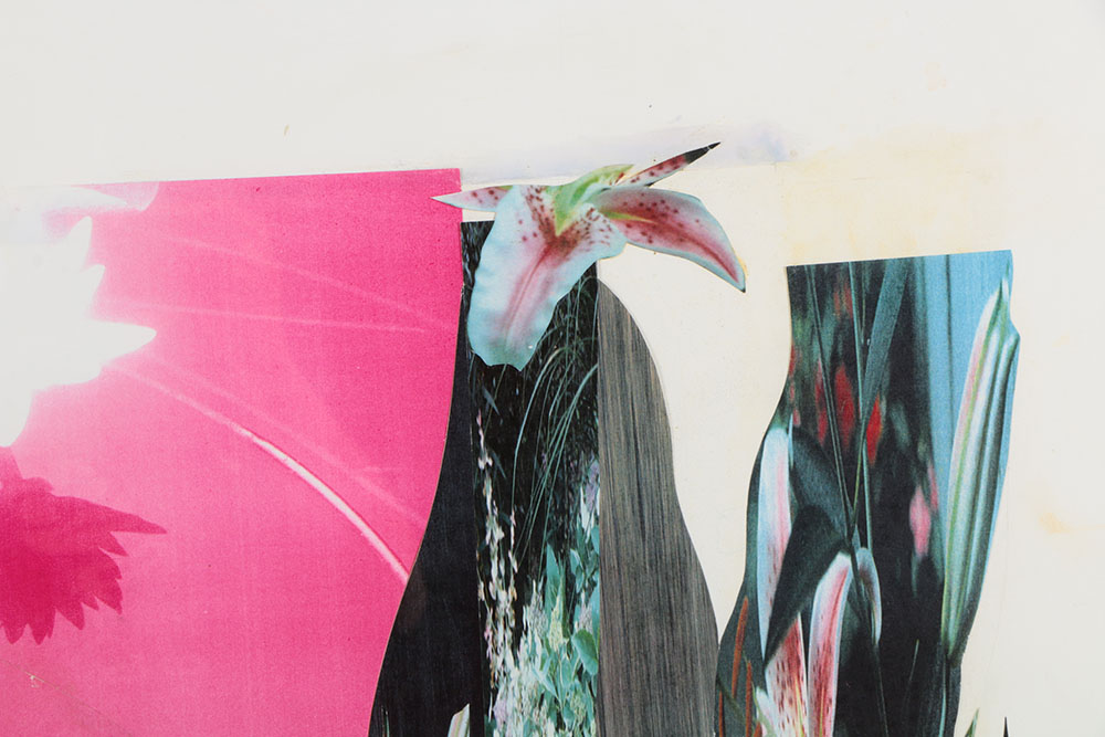 Don Werner Digital Photo Collage of Lilies