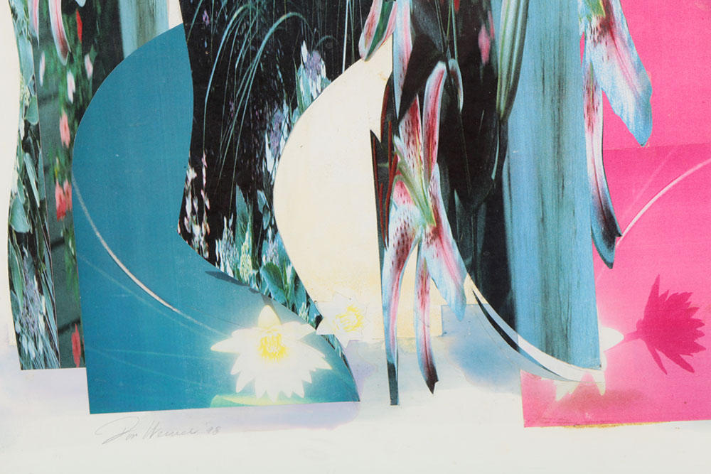 Don Werner Digital Photo Collage of Lilies