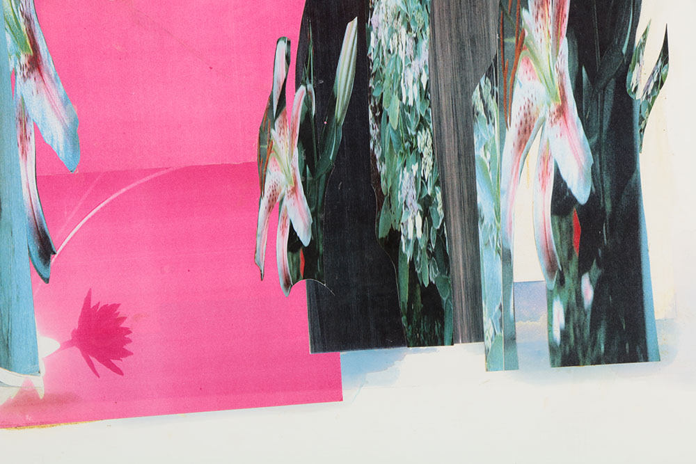 Don Werner Digital Photo Collage of Lilies