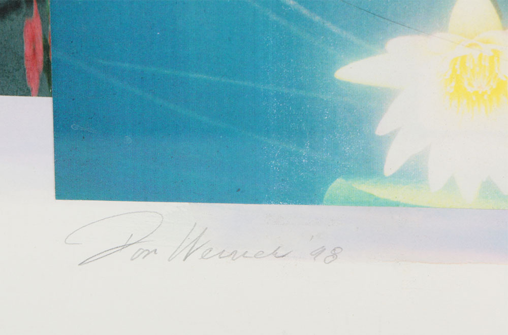 Don Werner Digital Photo Collage of Lilies