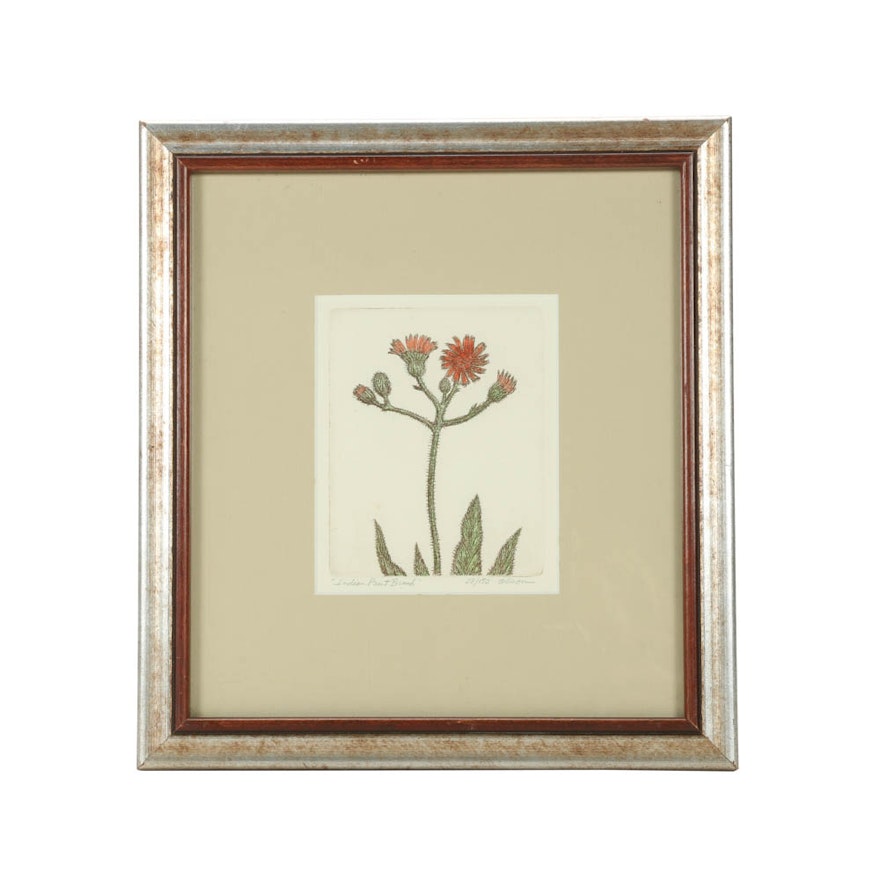 David Olson Signed Limited Edition Hand-Colored Etching "Indian Paint Brush"