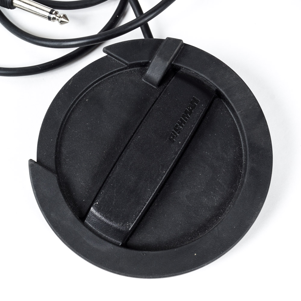 Acoustic Brand Guitar Amplifier and Fishman Soundhole Pickup