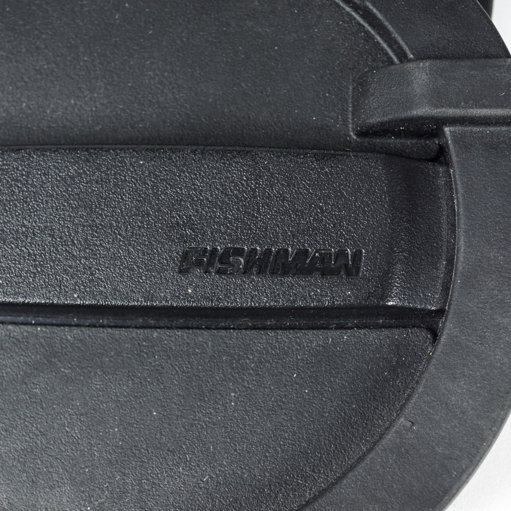 Acoustic Brand Guitar Amplifier and Fishman Soundhole Pickup