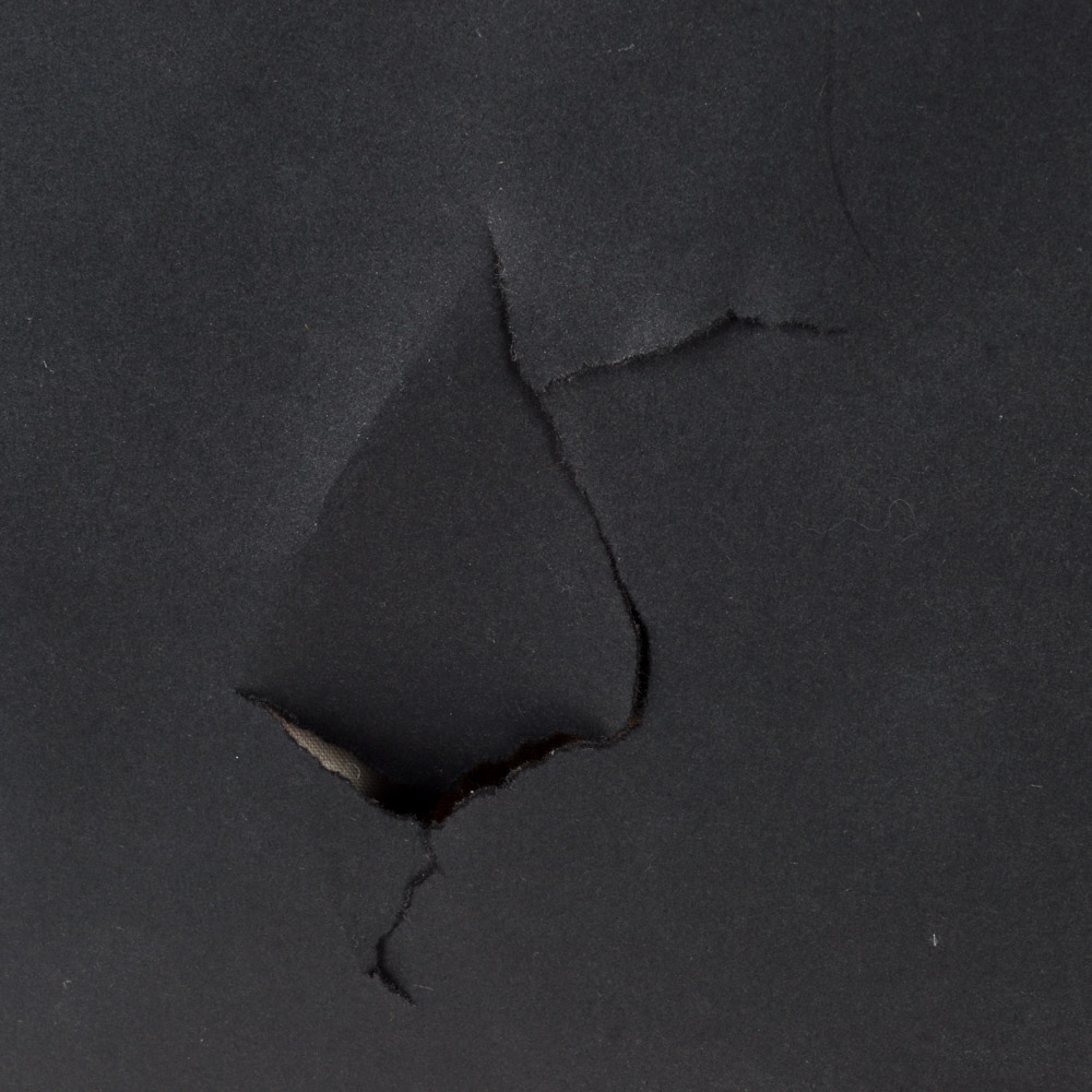 Julia McClurg "Lulu Bella" Oil Paintings of Black and White Dogs