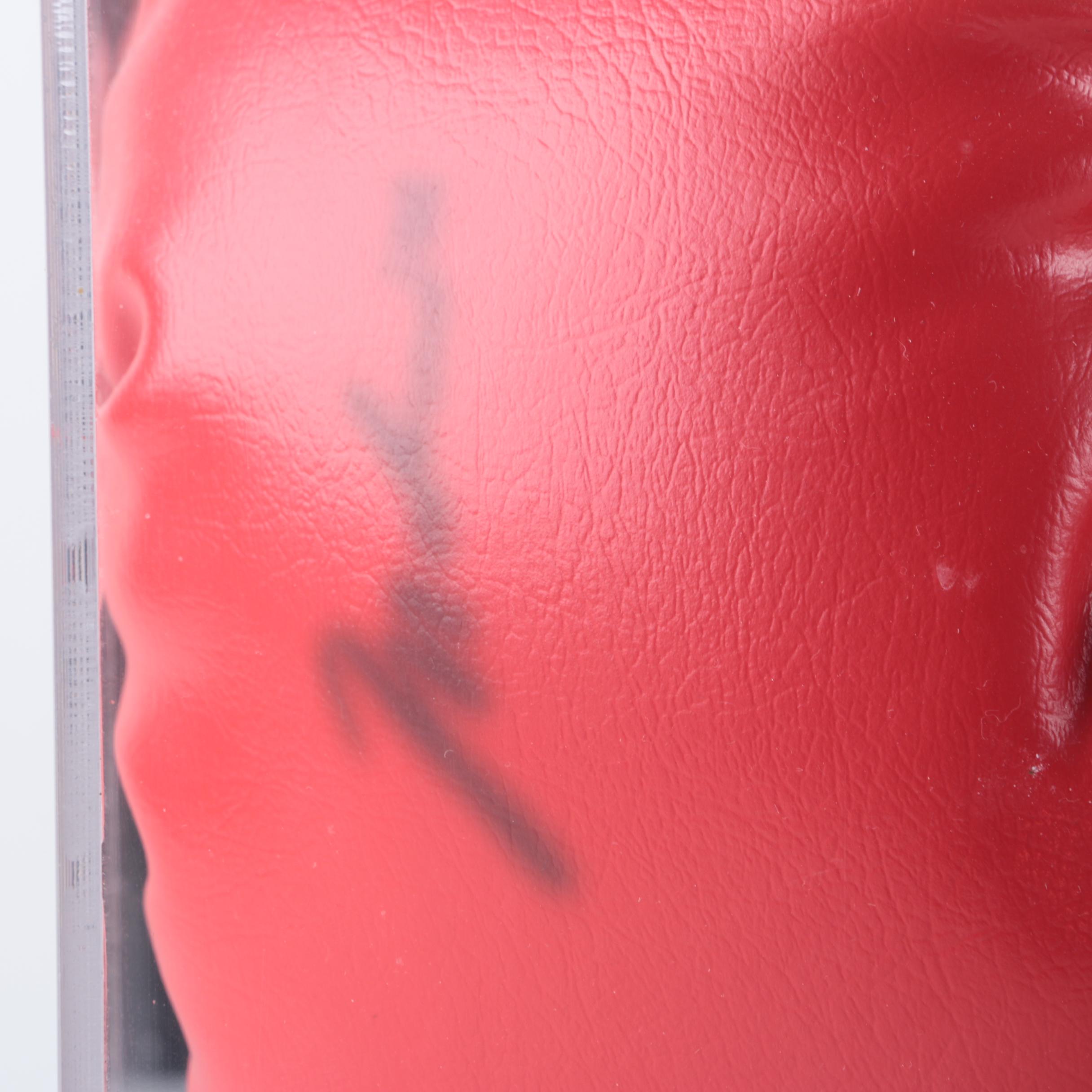 Muhammad Ali and Sugar Ray Leonard Signed Boxing Gloves