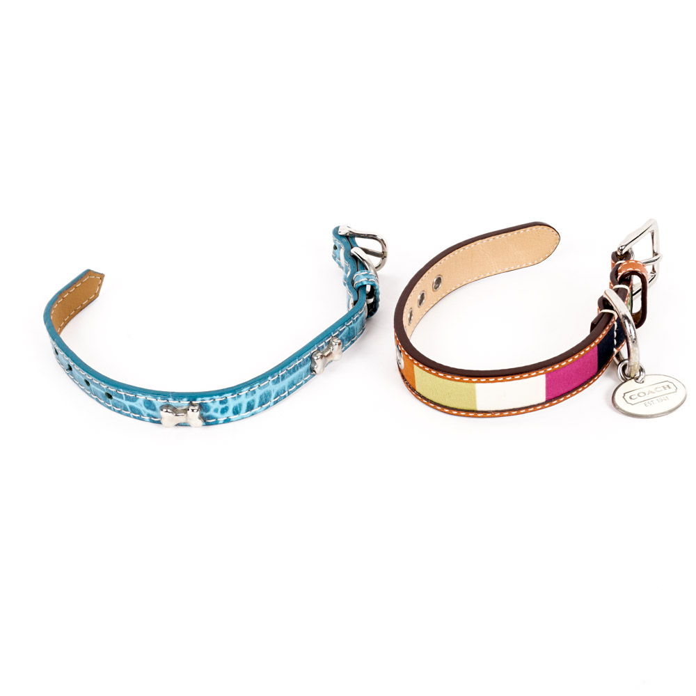 Coach and Amberhill Pet Collars