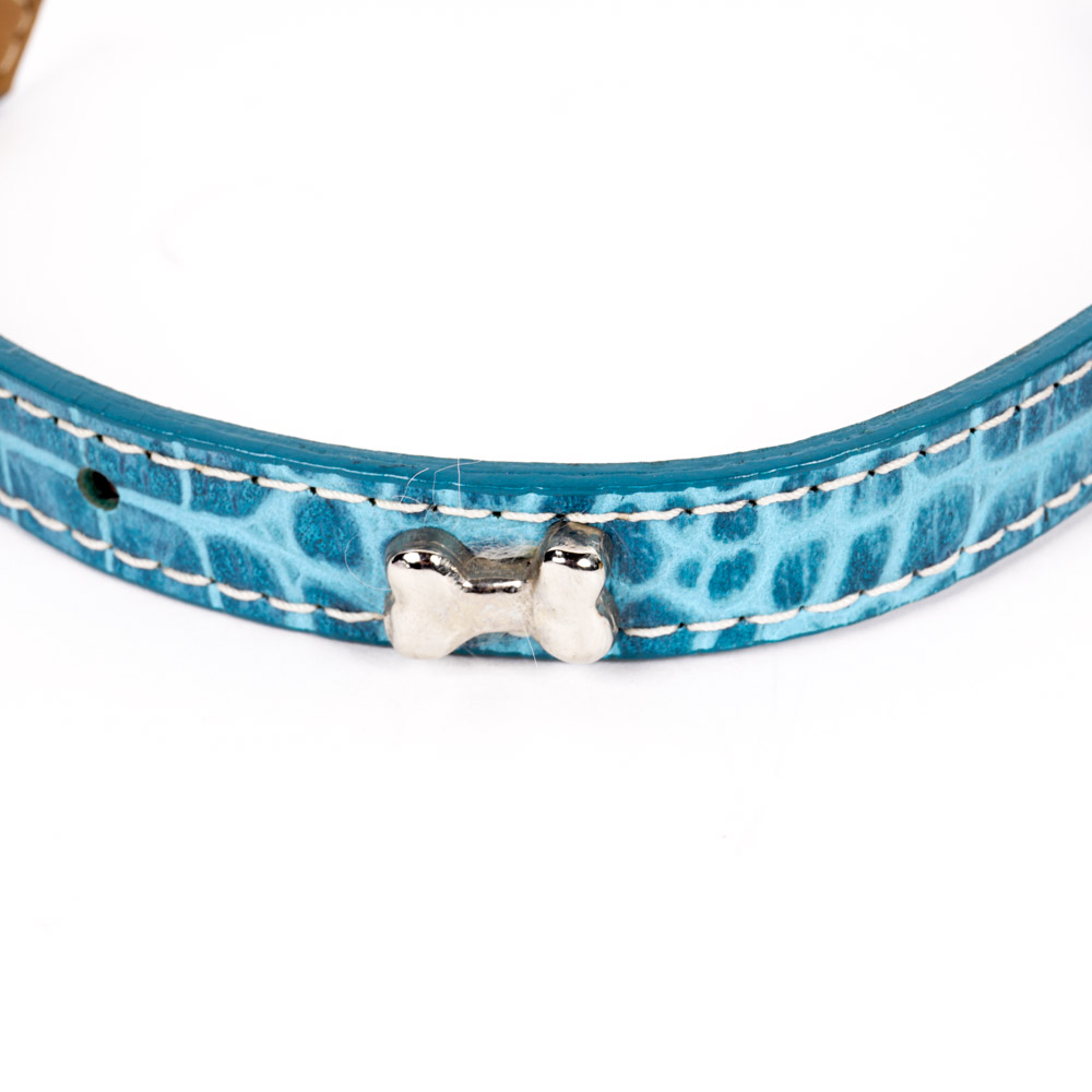 Coach and Amberhill Pet Collars