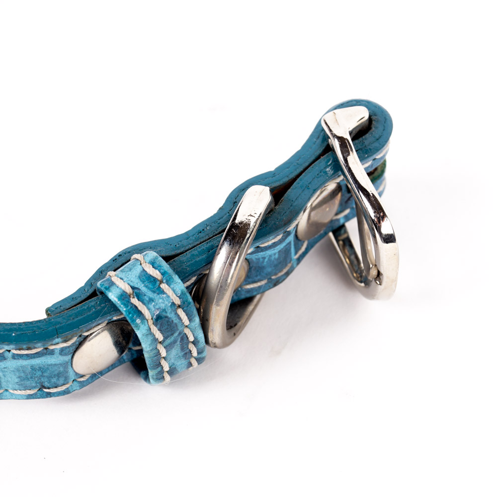 Coach and Amberhill Pet Collars