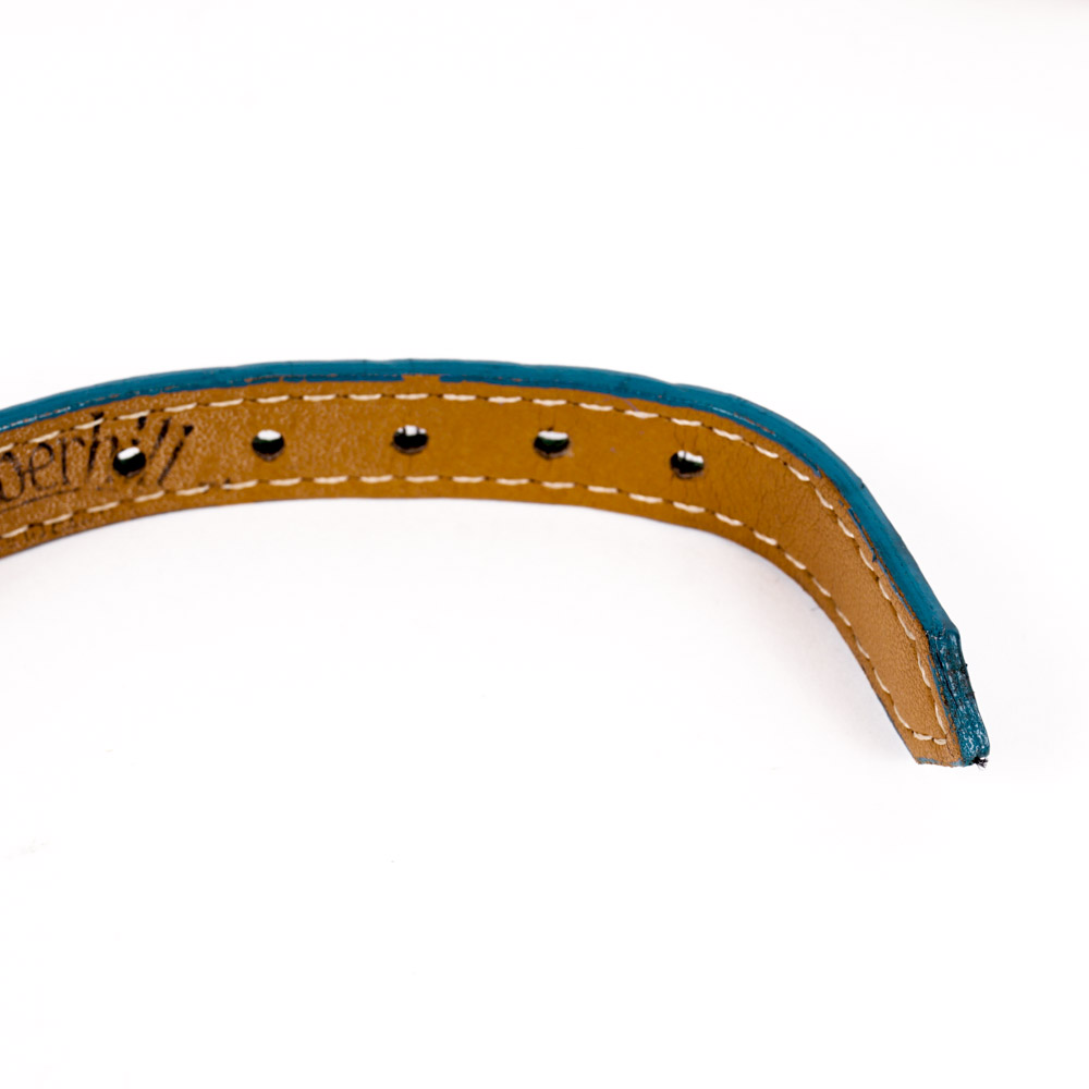 Coach and Amberhill Pet Collars