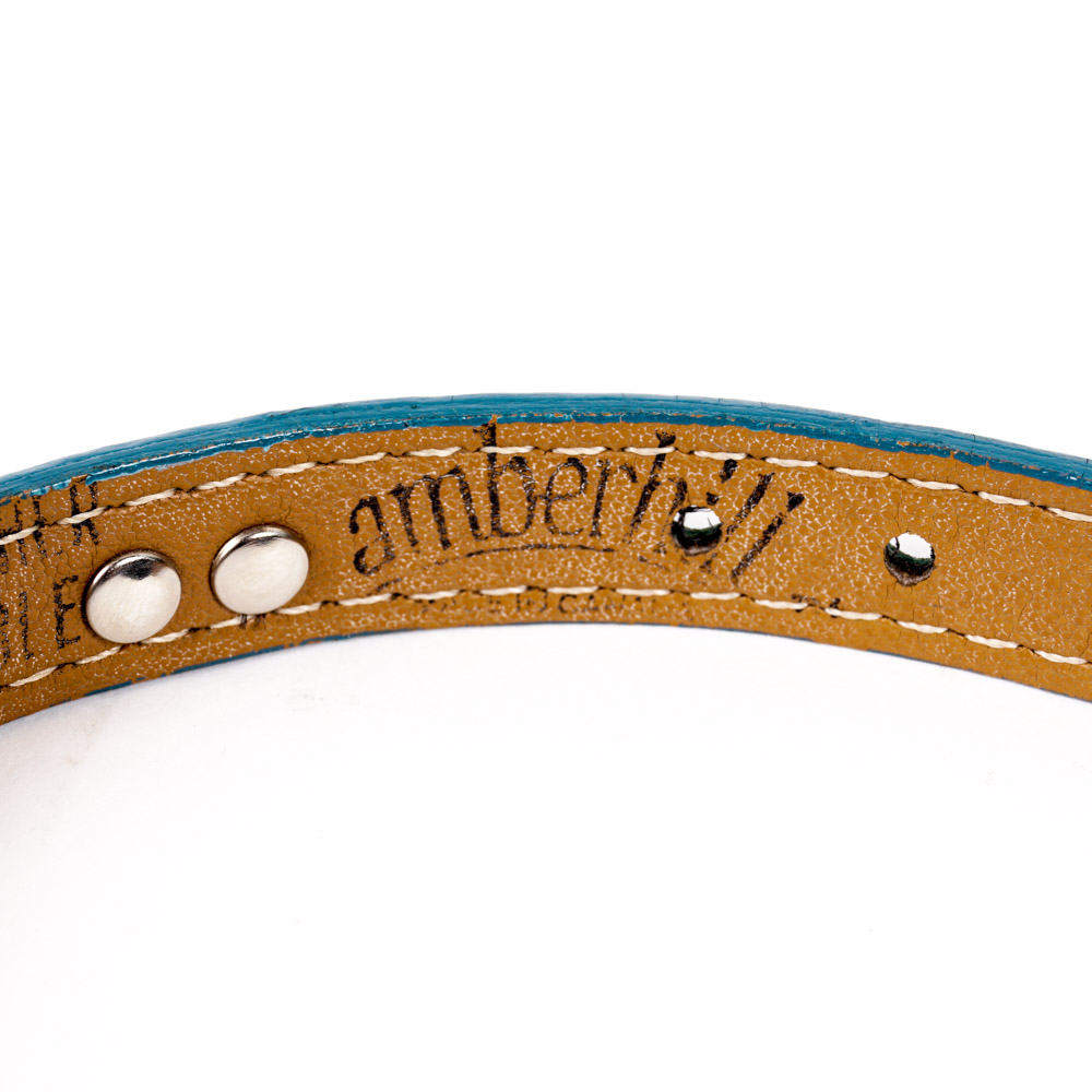 Coach and Amberhill Pet Collars