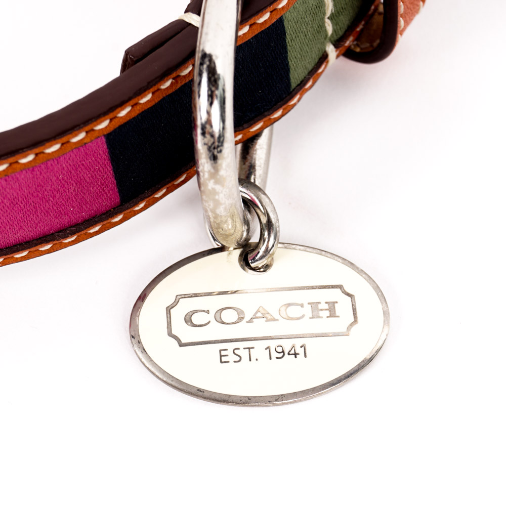 Coach and Amberhill Pet Collars