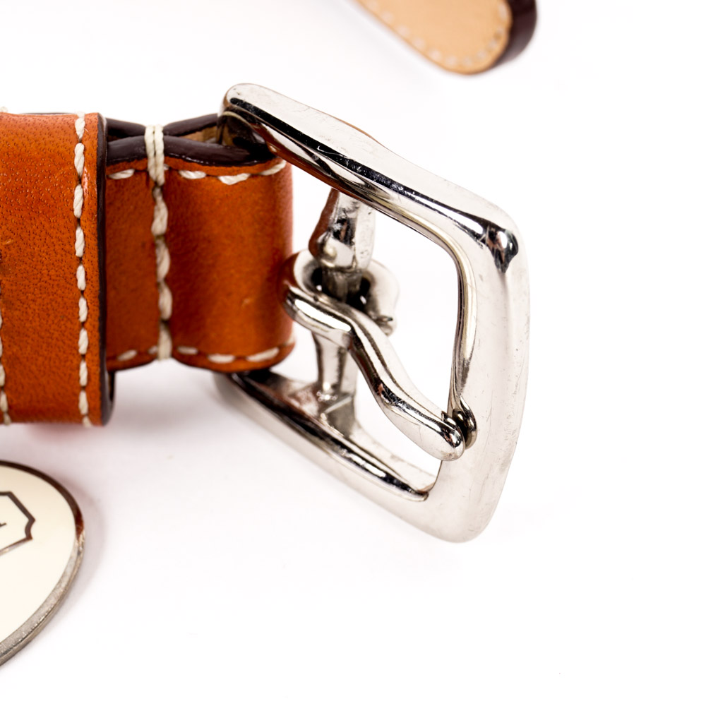 Coach and Amberhill Pet Collars
