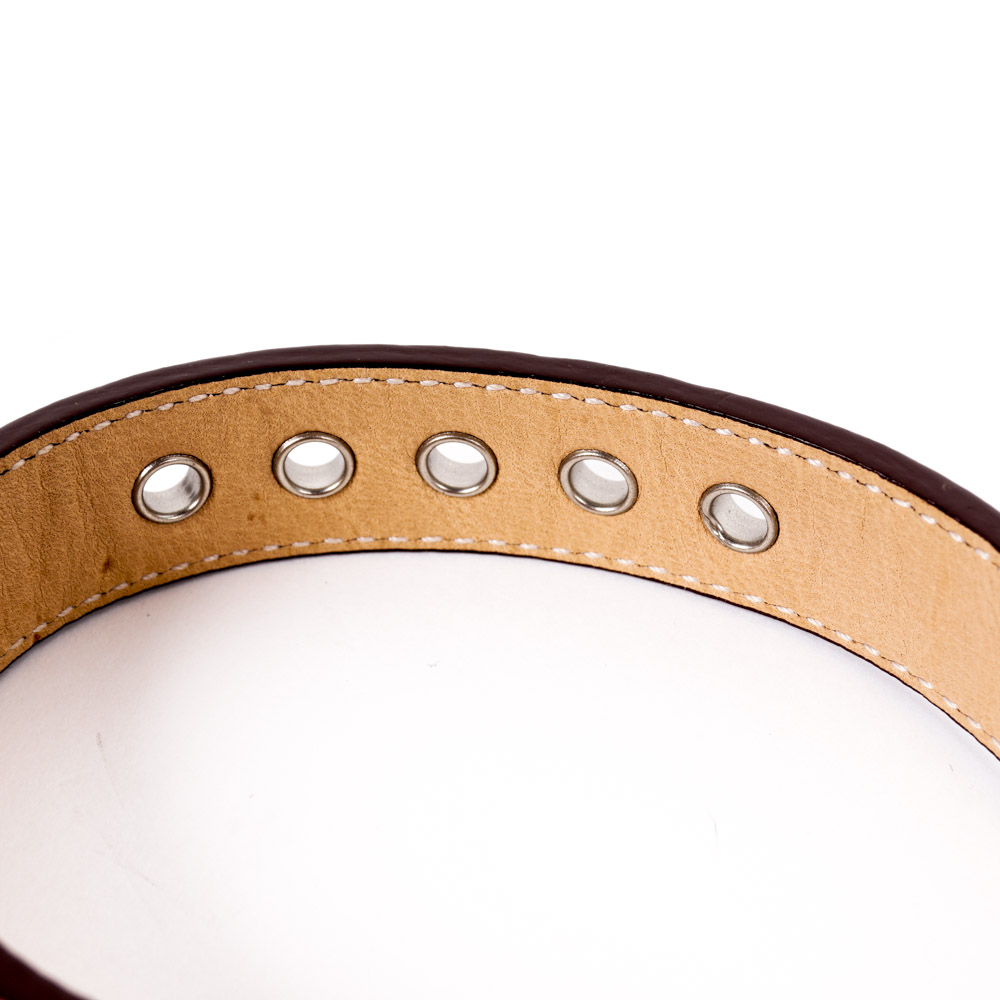Coach and Amberhill Pet Collars