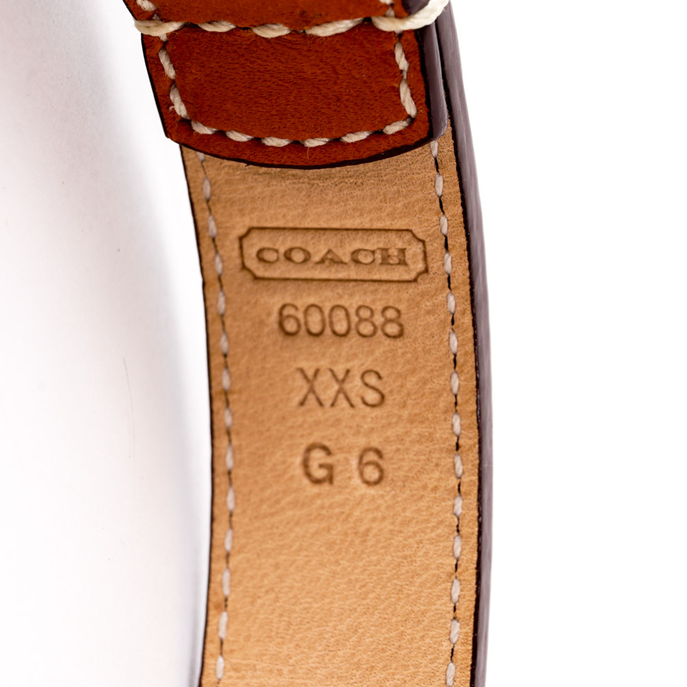 Coach and Amberhill Pet Collars