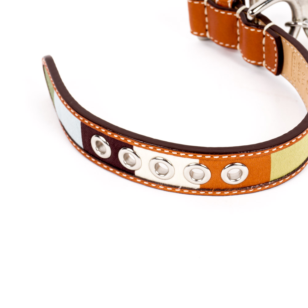 Coach and Amberhill Pet Collars
