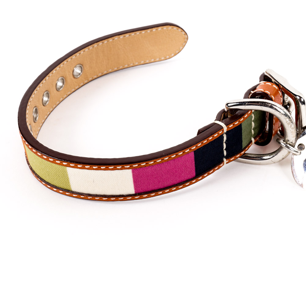 Coach and Amberhill Pet Collars