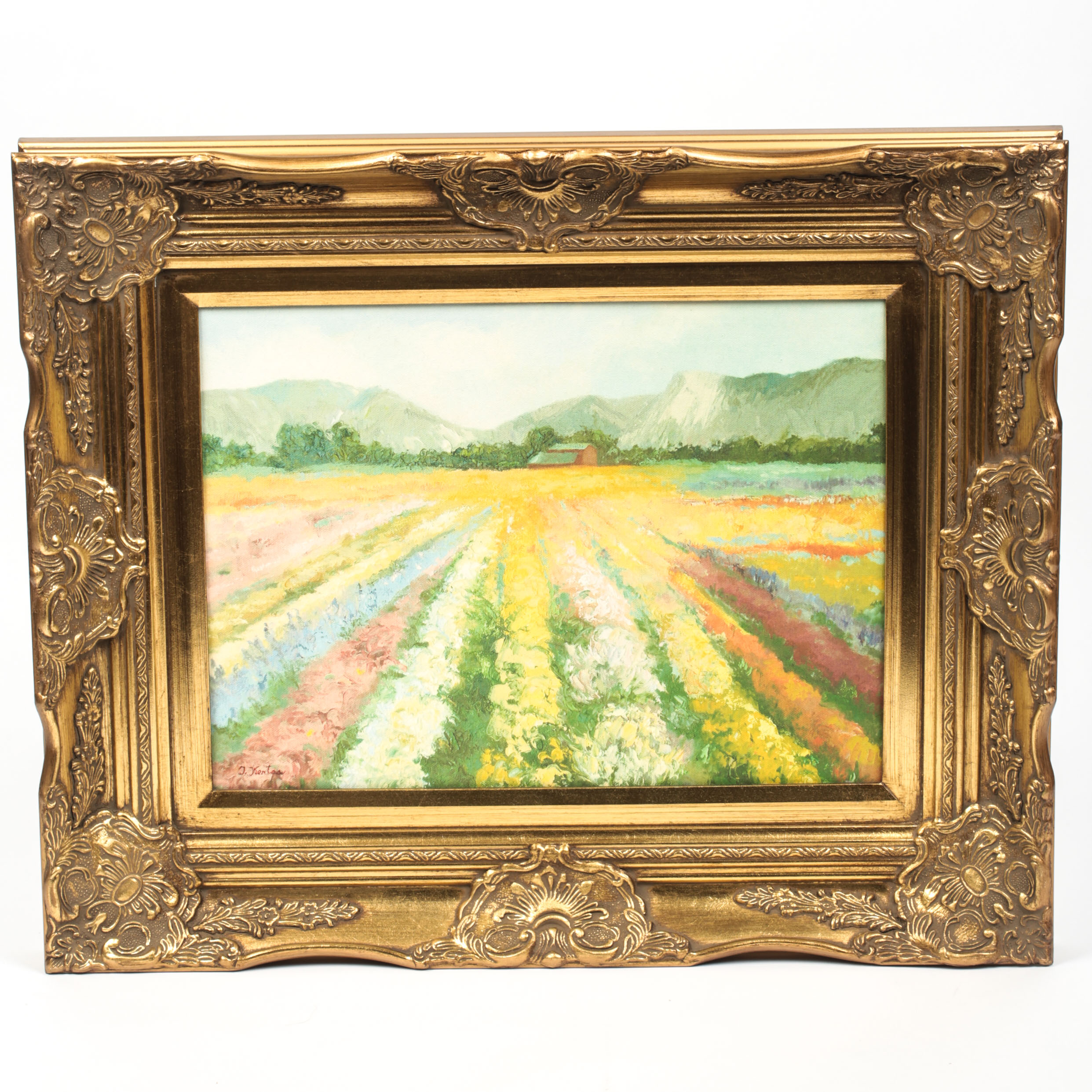 Trish Kertes Giclee Print on Canvas Board "Flower Fields"