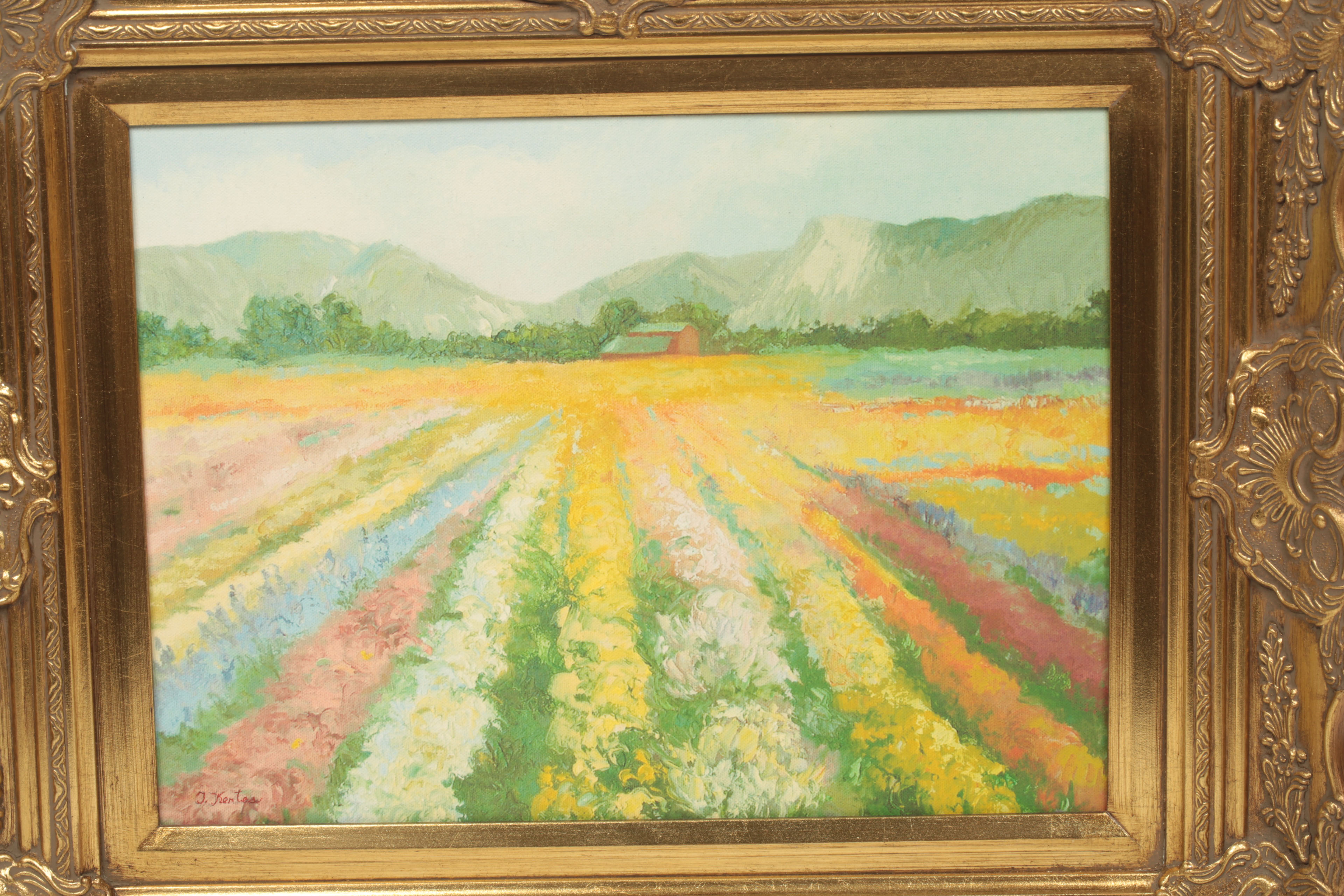 Trish Kertes Giclee Print on Canvas Board "Flower Fields"