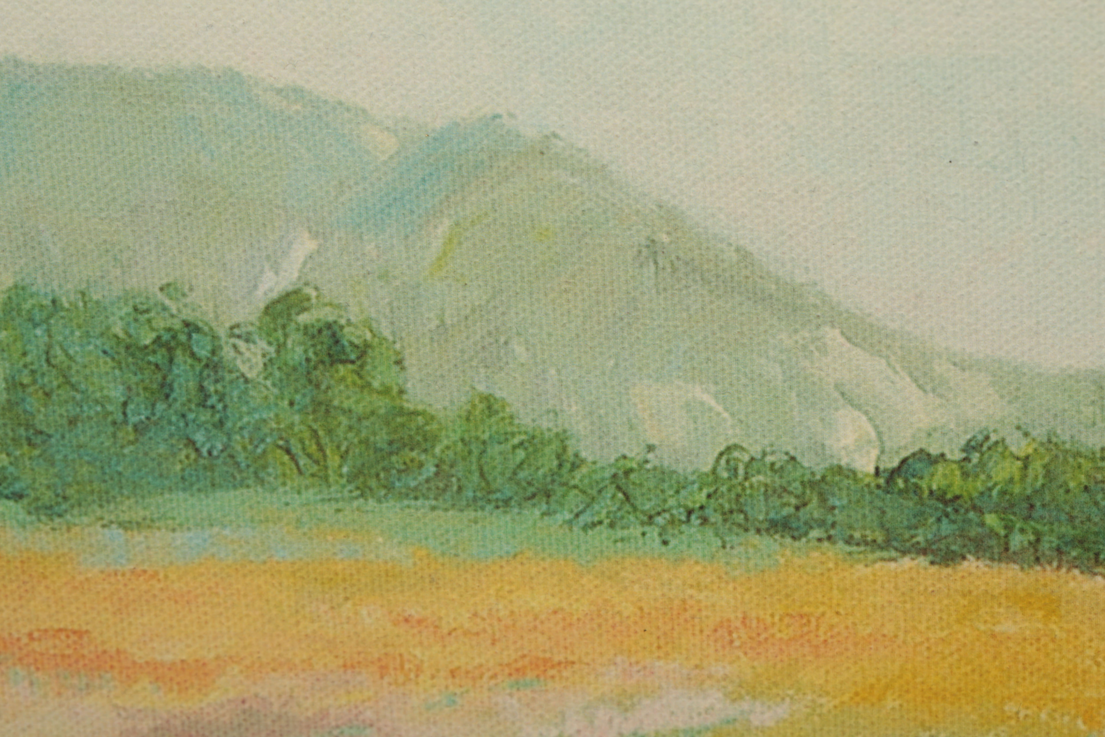 Trish Kertes Giclee Print on Canvas Board "Flower Fields"