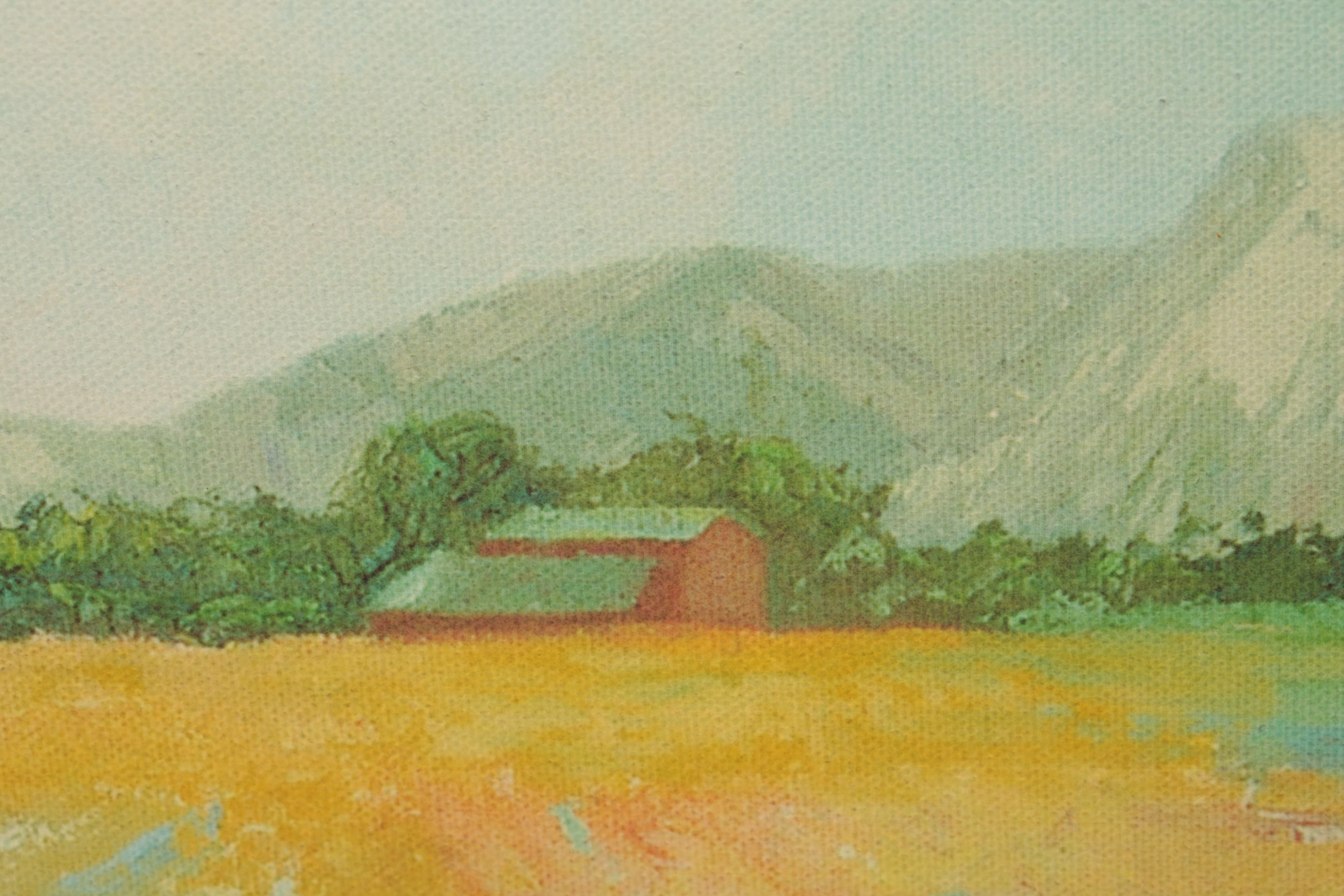 Trish Kertes Giclee Print on Canvas Board "Flower Fields"