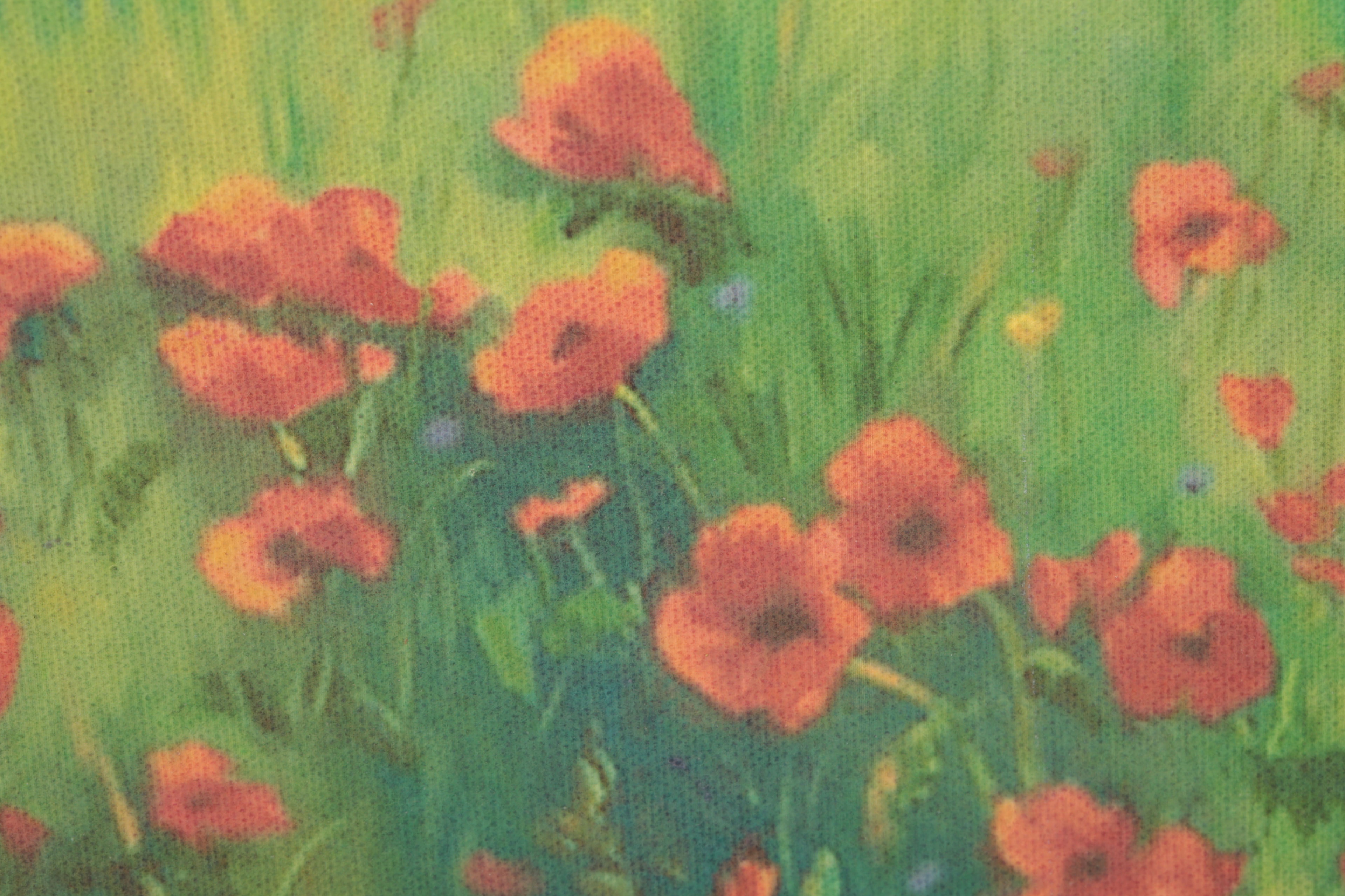 Trish Kertes Giclee Print on Canvas Board "Poppies in Tuscany"