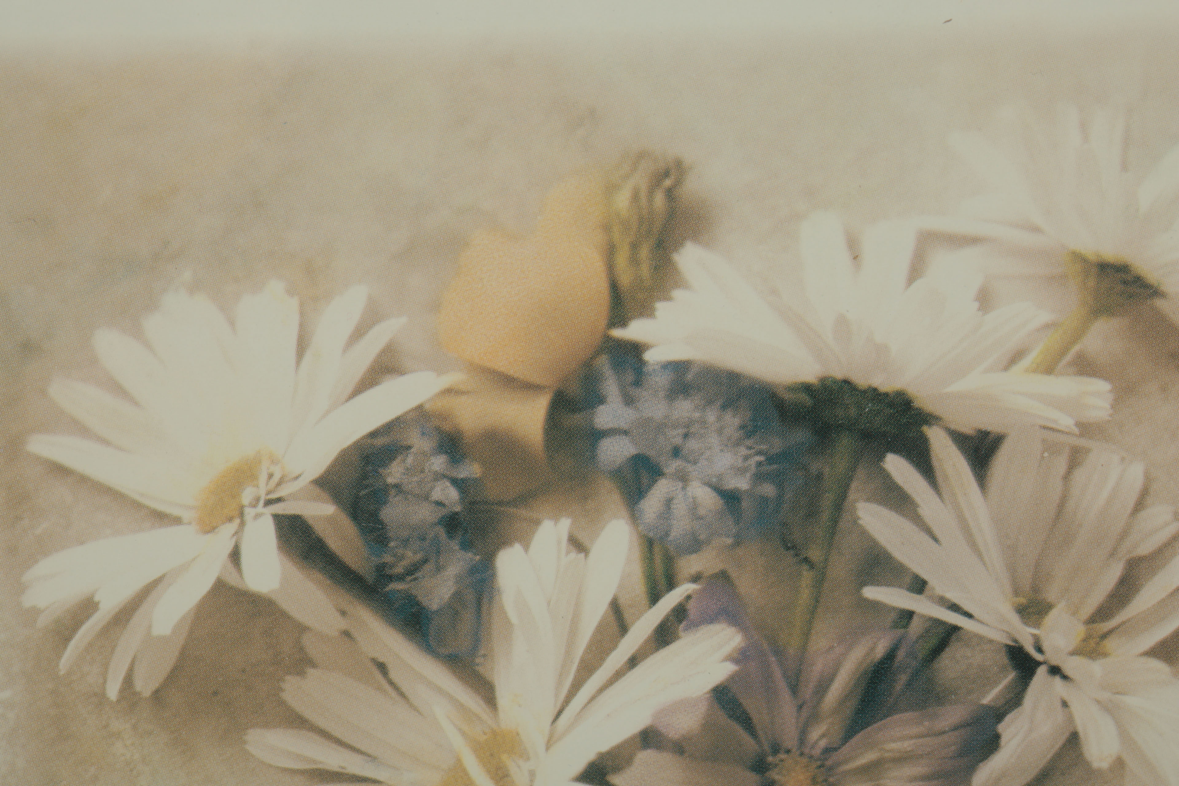 Offset Lithograph Prints on Paper of Floral Bouquets with Wall Mirror