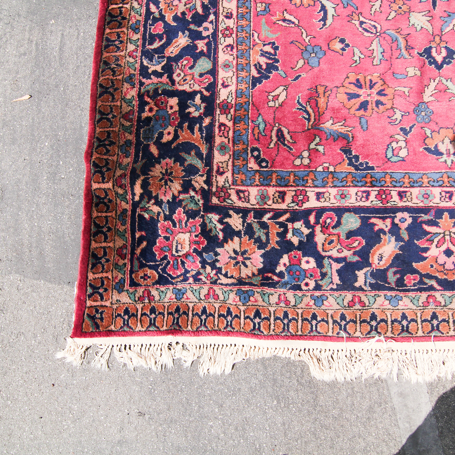 Hand-Knotted Turkish Sparta Wool Area Rug