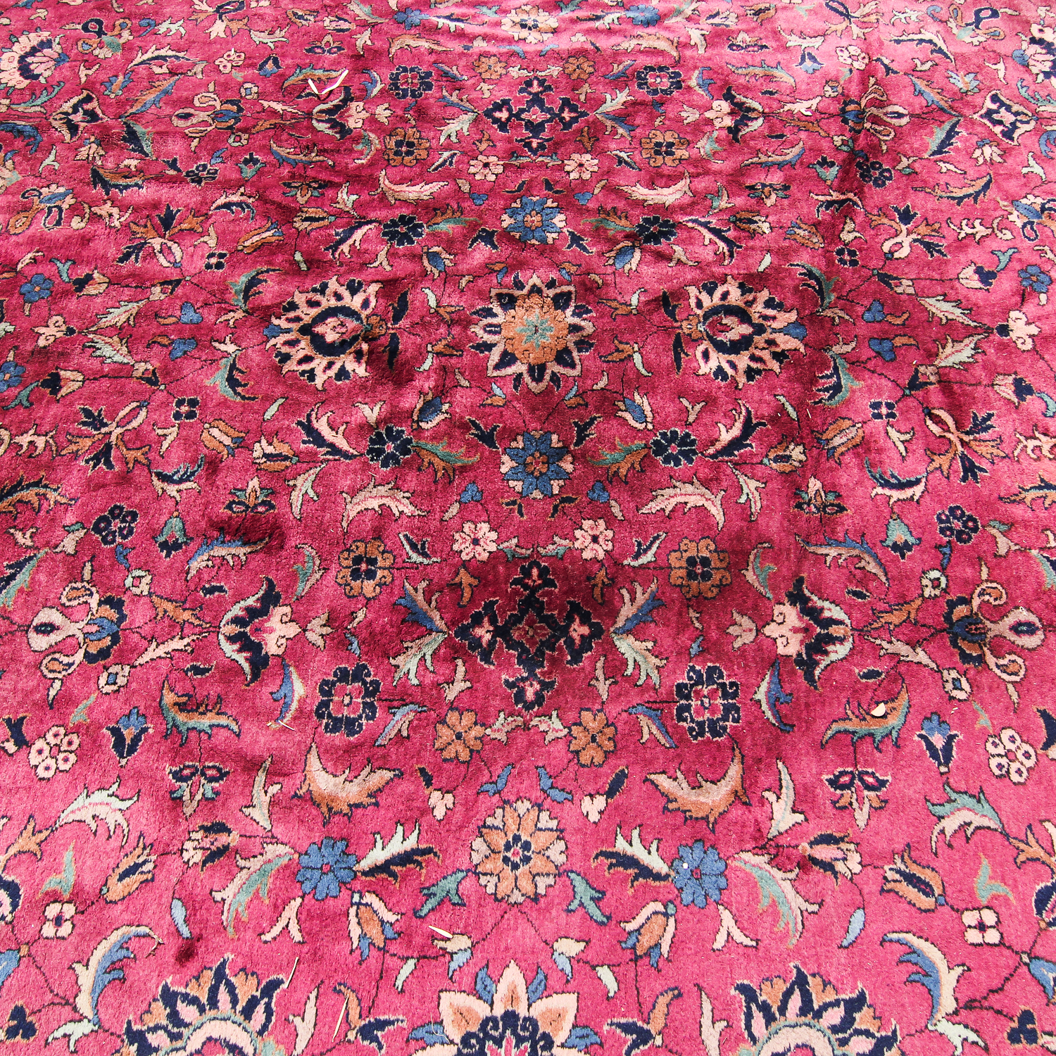 Hand-Knotted Turkish Sparta Wool Area Rug