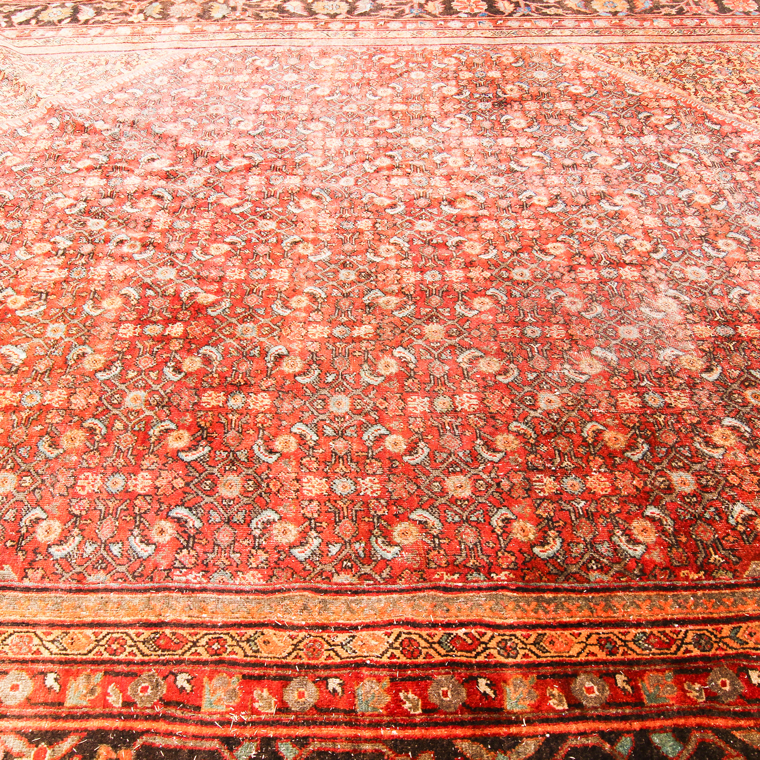 Hand-Knotted Persian Hamadan Area Rug