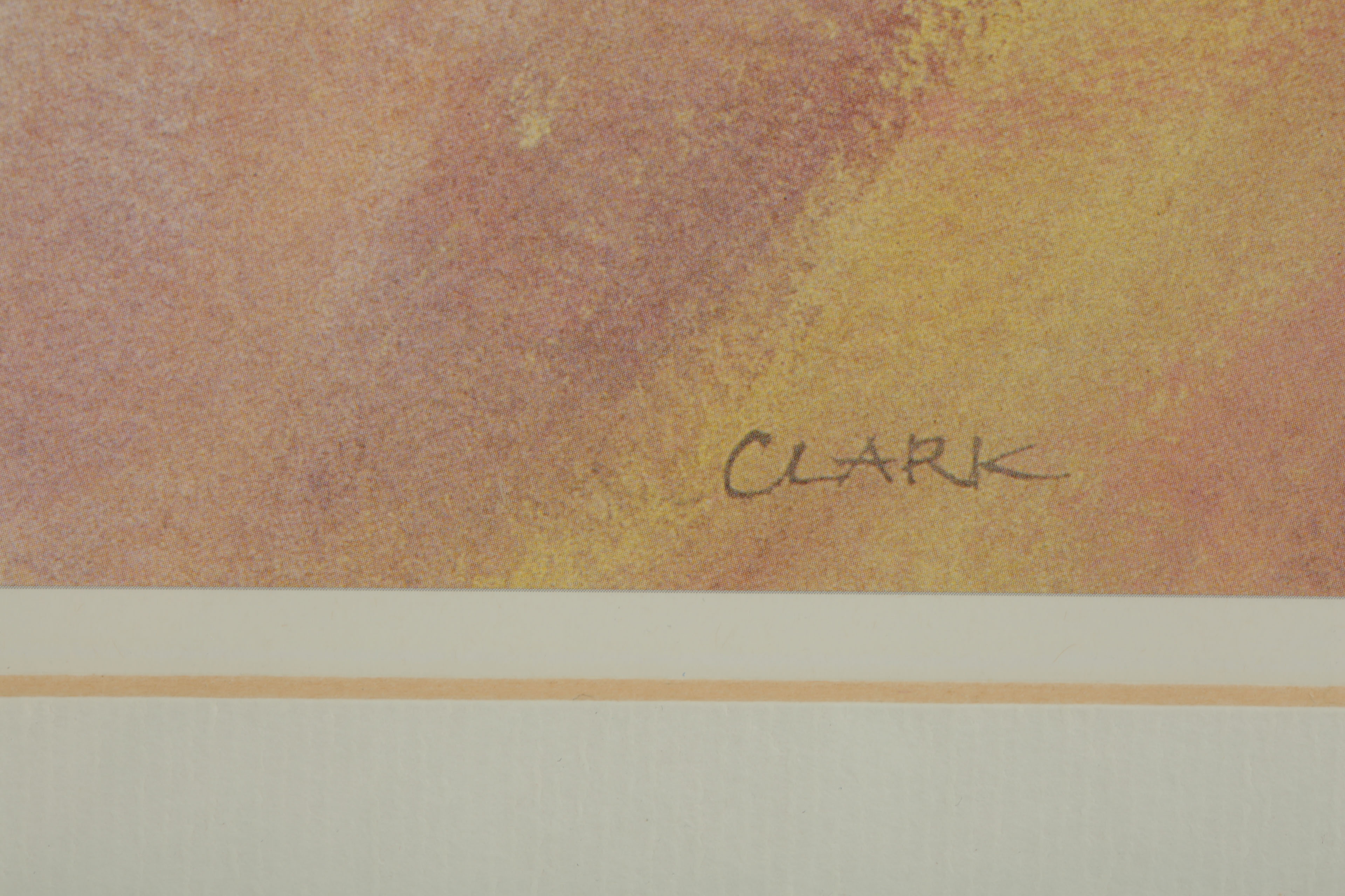 Clark Offset Lithograph Print on Paper of Pink Roses