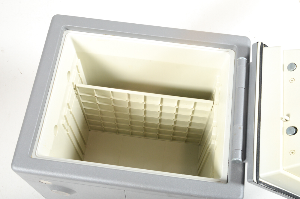 Sentry Survivor Safe