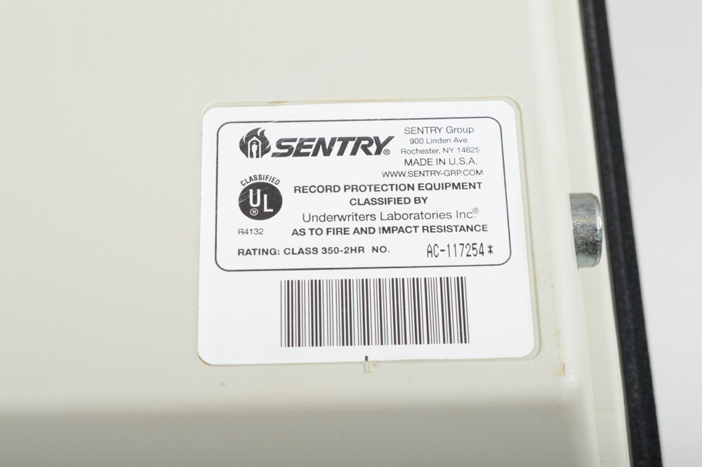 Sentry Survivor Safe