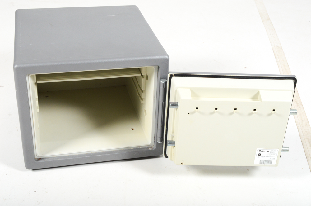 Sentry Survivor Safe