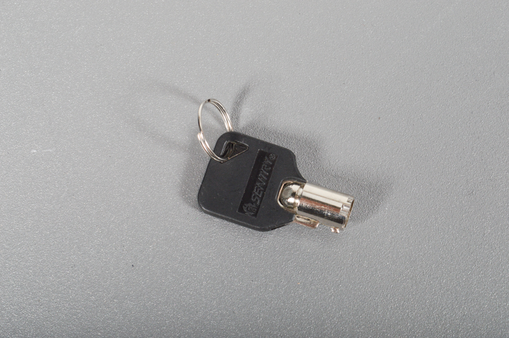 Sentry Survivor Safe