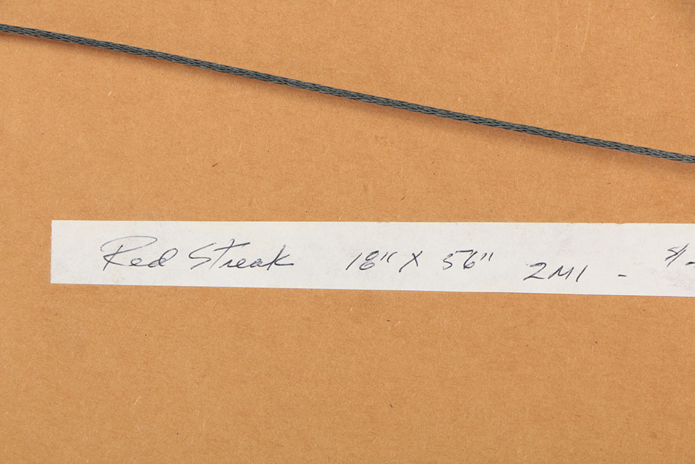 Don Werner Digital Photo Collage on Paper "Red Streak"