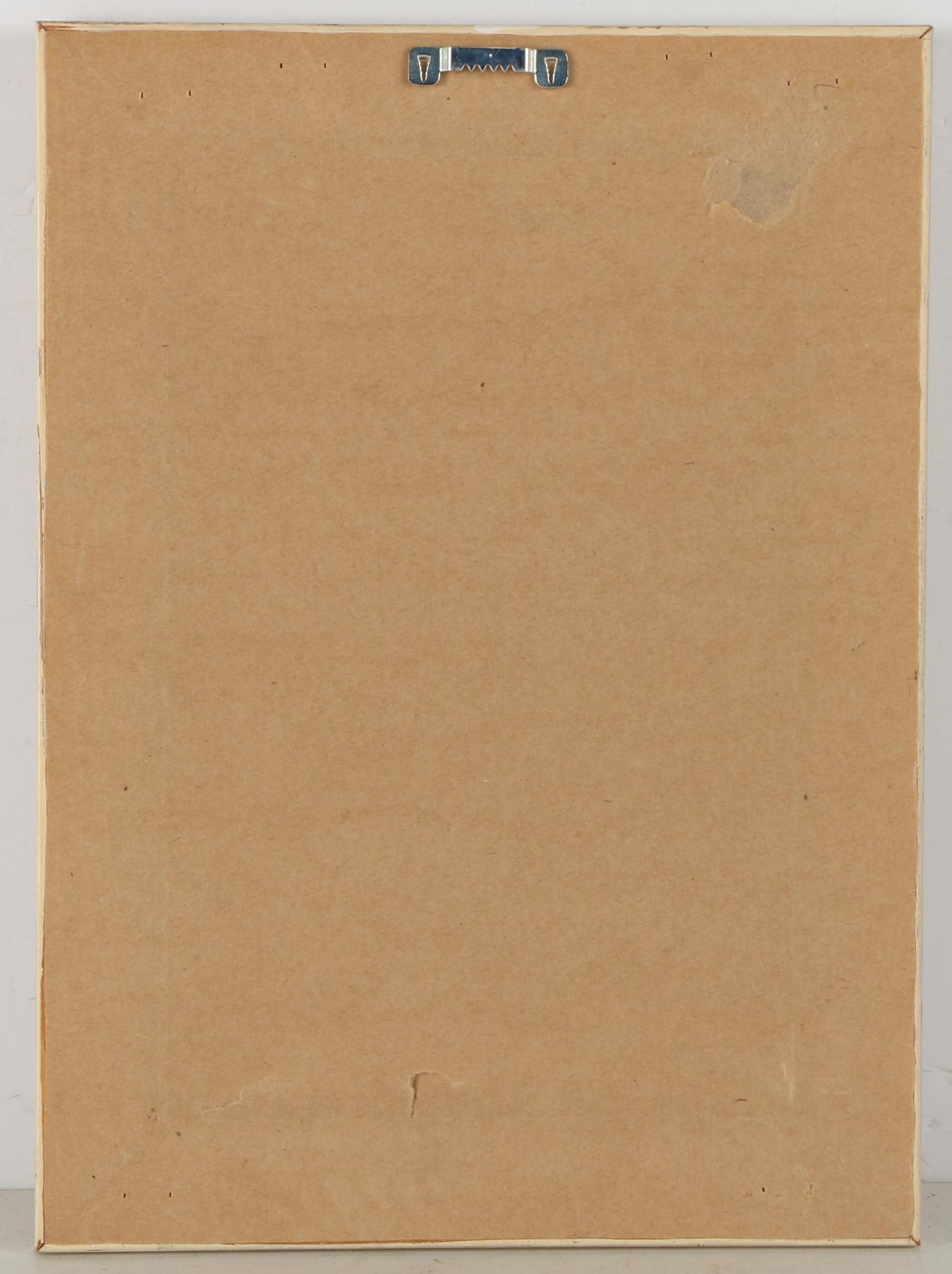 Offset Lithograph Prints on Paper of Vegetables